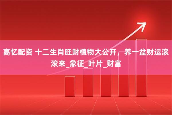 高忆配资 十二生肖旺财植物大公开，养一盆财运滚滚来_象征_叶片_财富